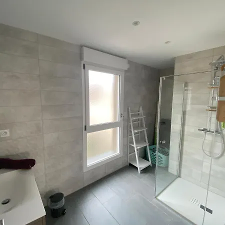 Orchidees Proche Centre Colmar