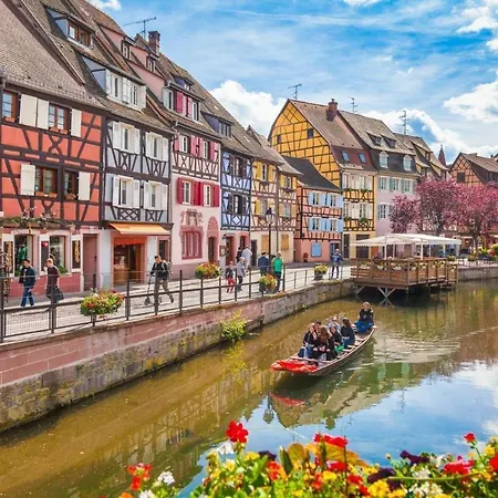 Orchidees Proche Centre