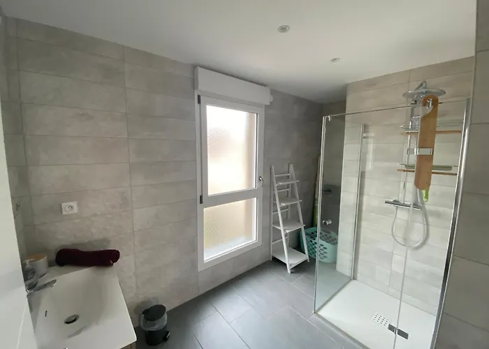 Orchidées Proche Centre Colmar