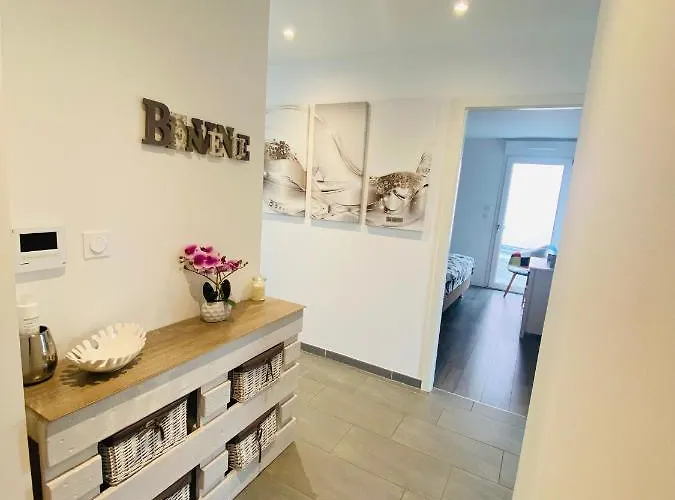 Orchidées Proche Centre *