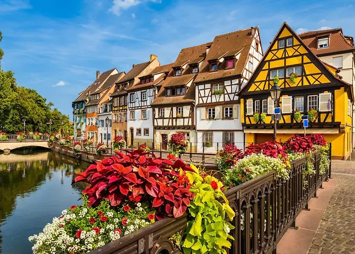 Orchidées Proche Centre