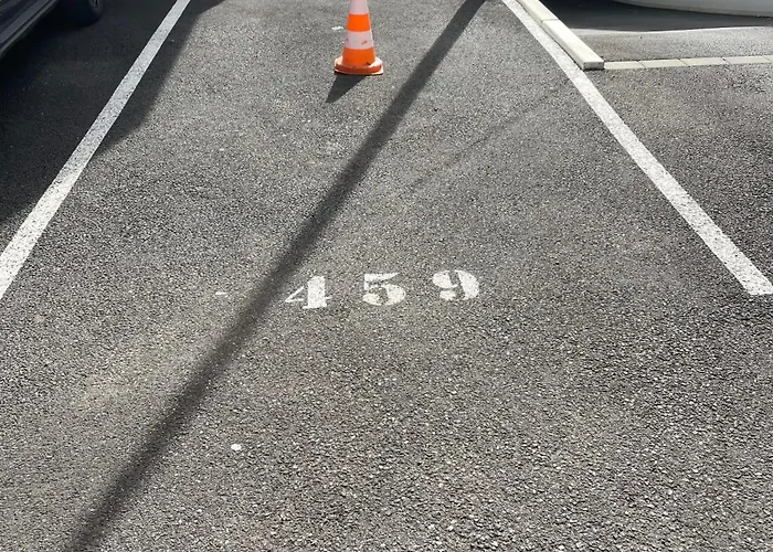 Orchidées Proche Centre